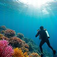 Diver exploring vibrant coral reef underwater, representing scuba diving and water activities